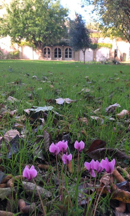 Au Rez De Jardin Hotel Cholet Exterior photo